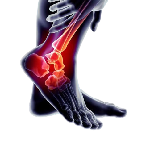 6562FF99-B9AE-443D-9234-8F7792D7D3A3_prev_ui